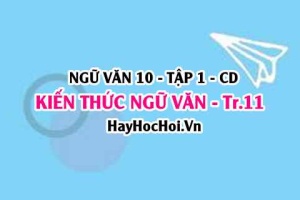 Soạn bài Kiến thức ngữ văn trang 11 lớp 10 Cánh Diều tập 1